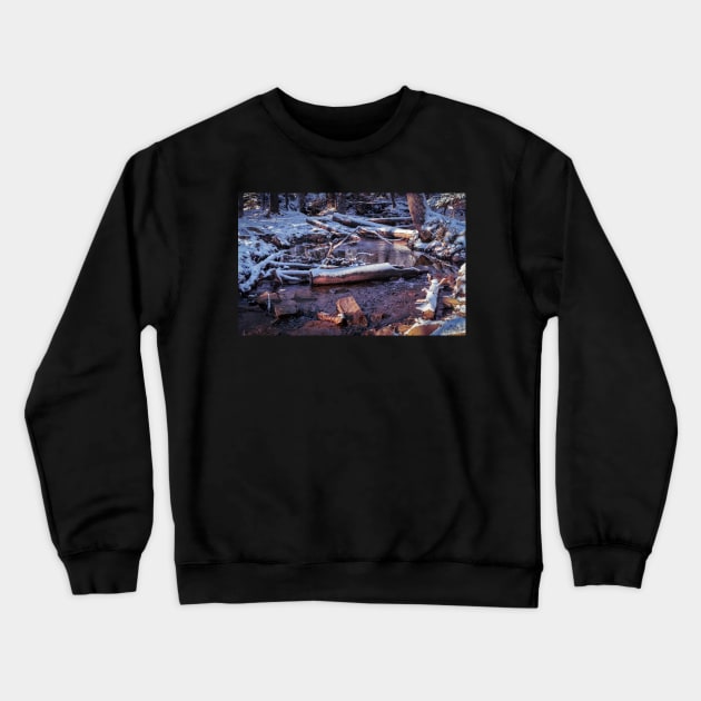 Hemlock Ravine Park 10 - Brook at Hemlock Ravine Park Crewneck Sweatshirt by kenmo